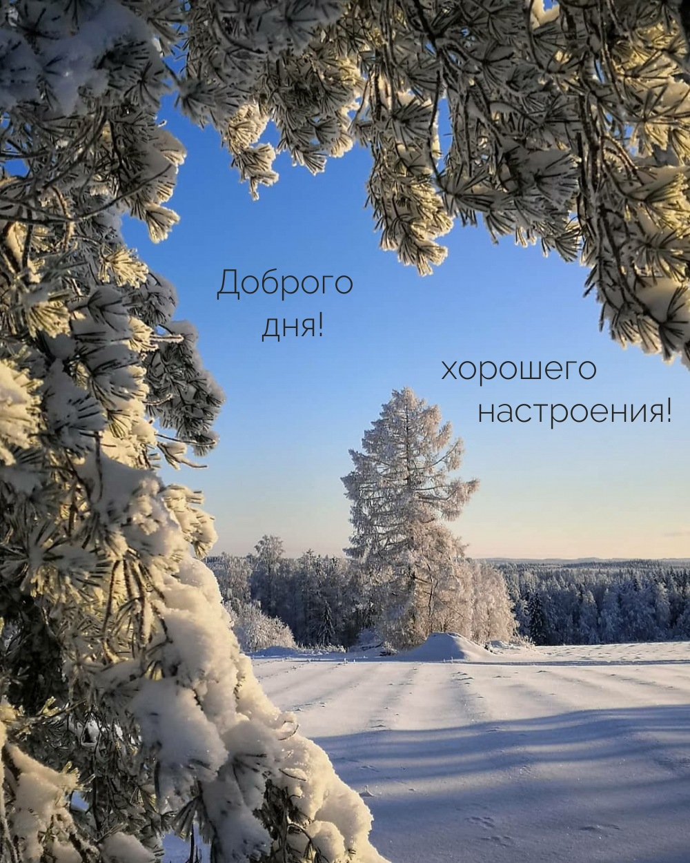 Доброго дня! Хорошего настроения!