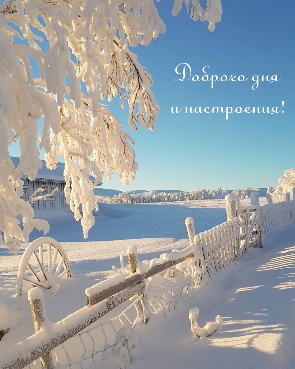 Доброго дня и настроения!