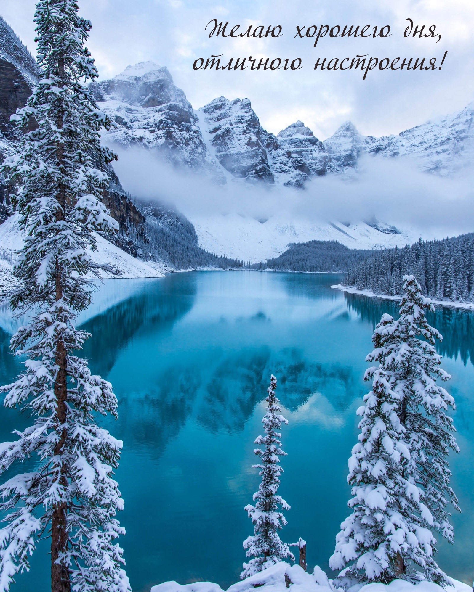 Желаю хорошего дня, отличного настроения!