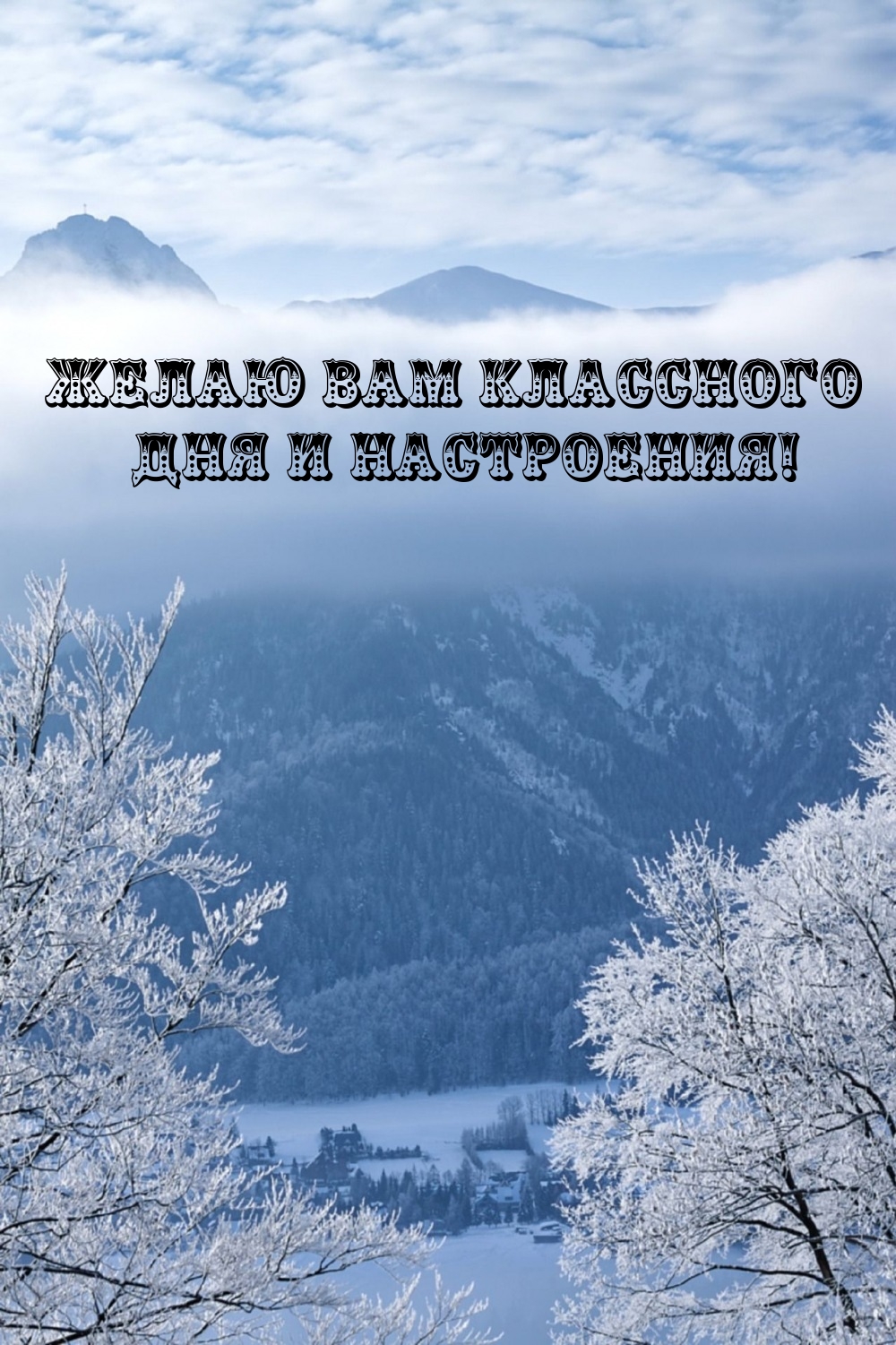 Желаю вам классного дня и настроения!