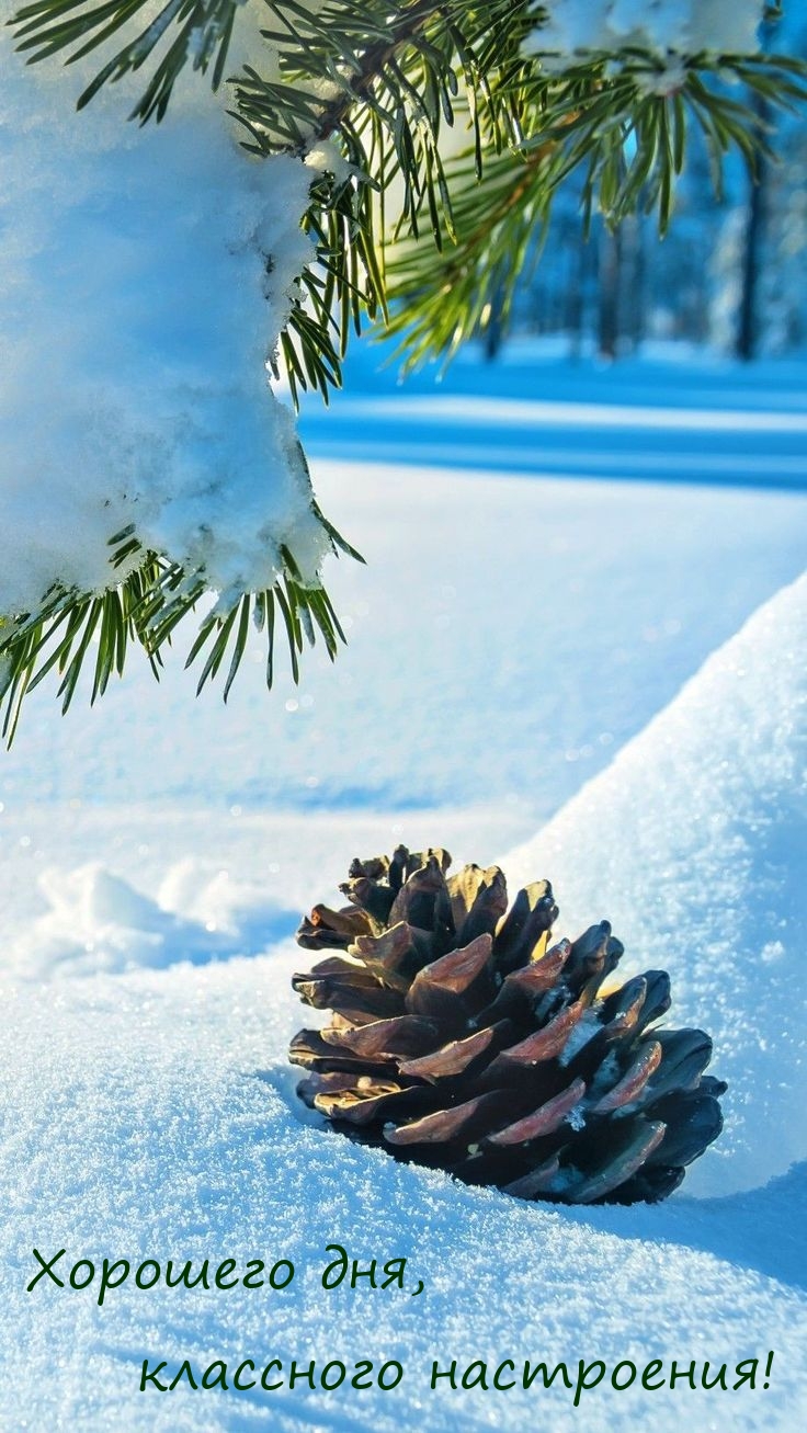 Хорошего дня, классного настроения!
