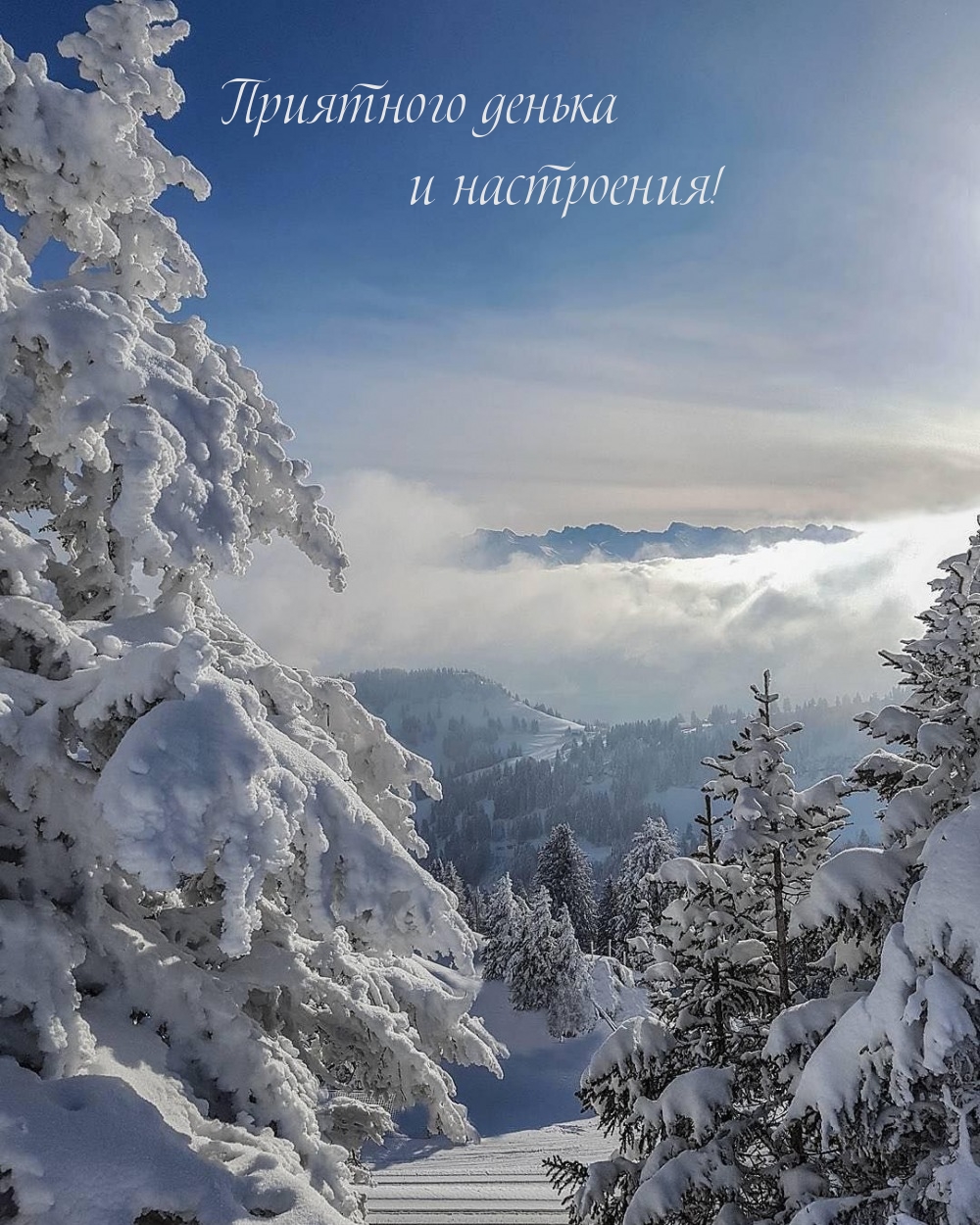 Приятного денька и настроения!