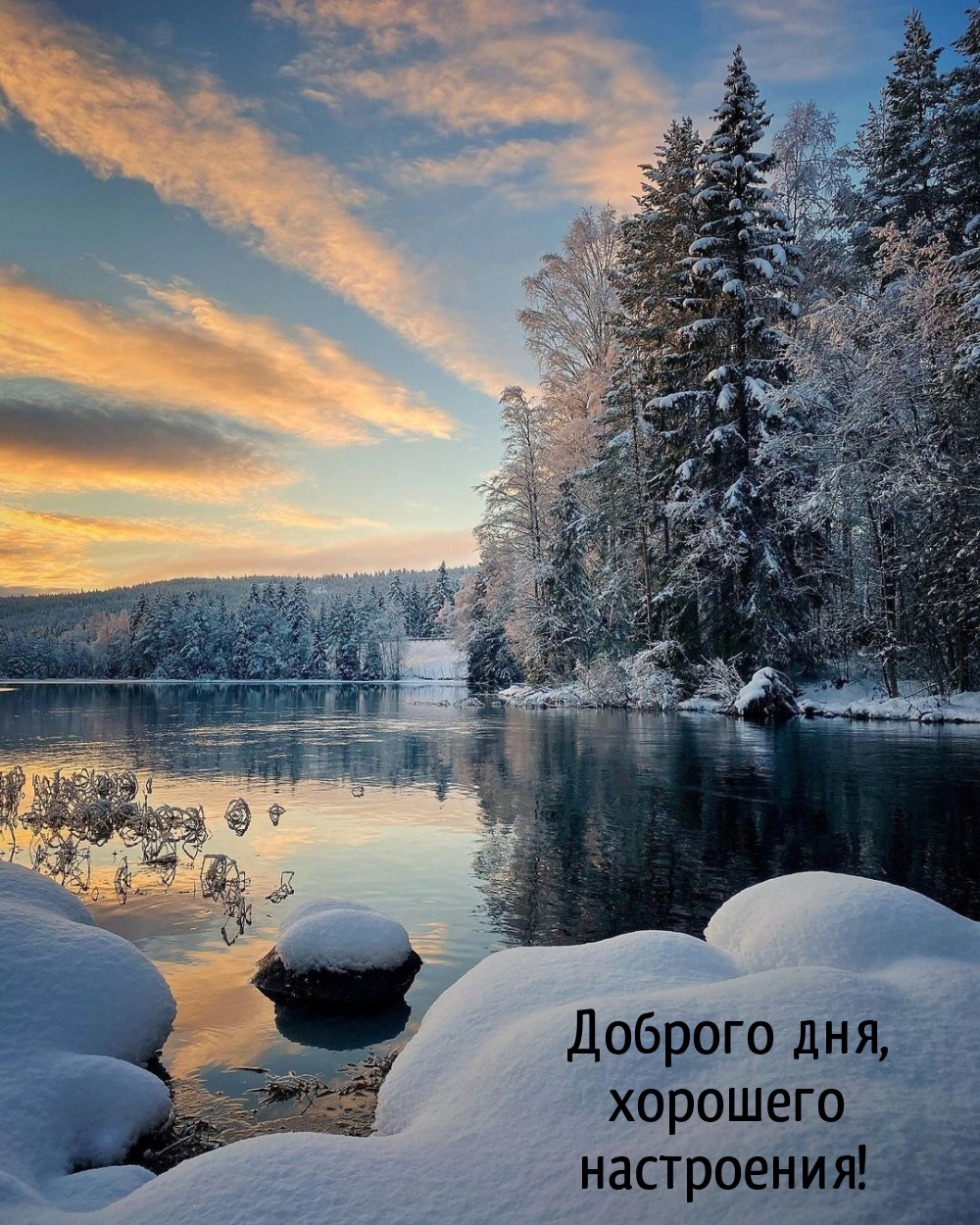 Доброго дня, хорошего настроения!