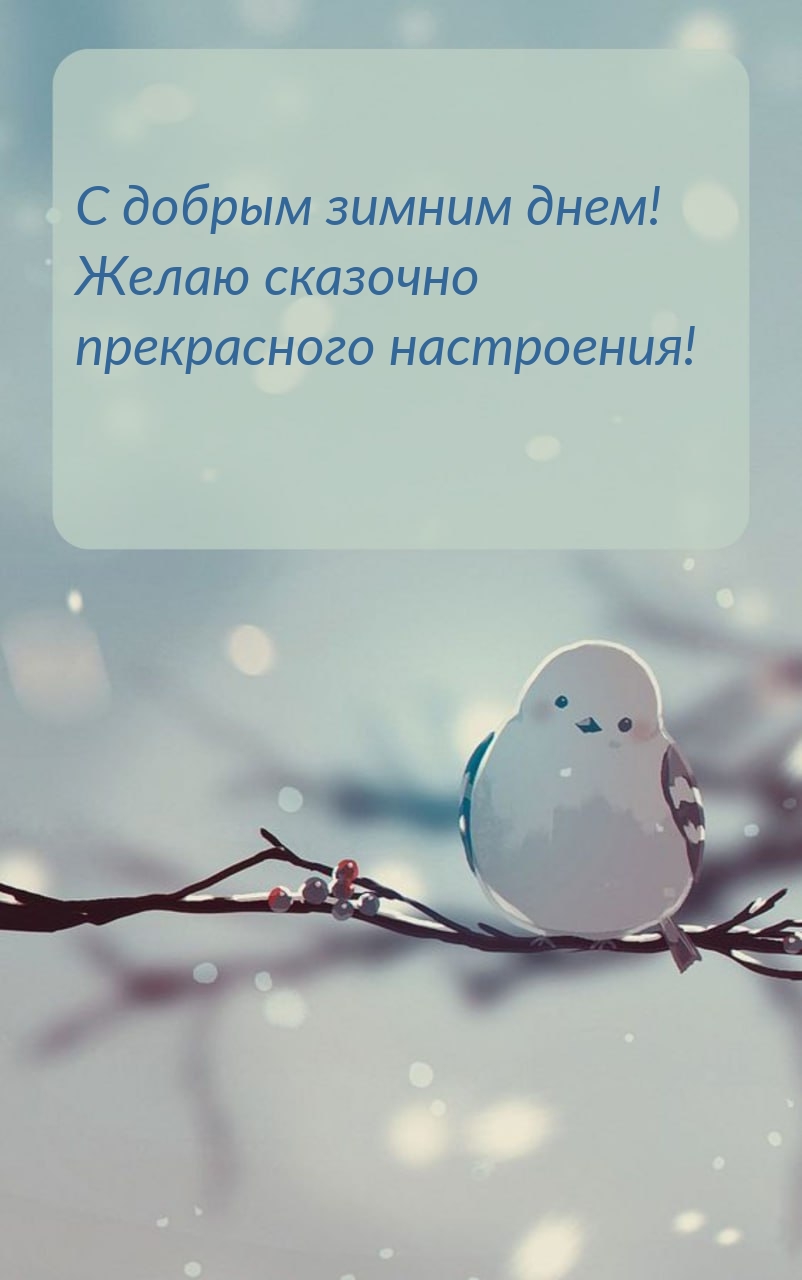 С добрым зимним днем! Желаю сказочно прекрасного настроения!
