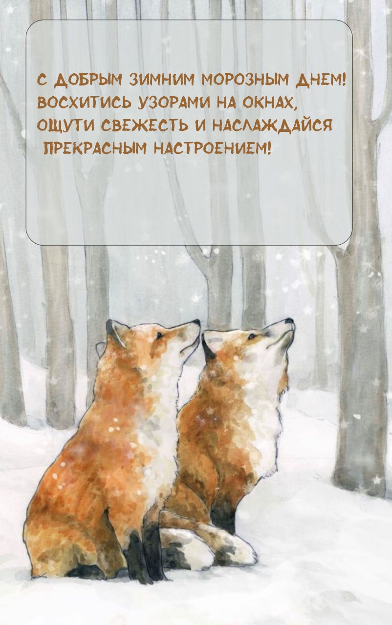 С добрым зимним морозным днем! Восхитись узорами на окнах