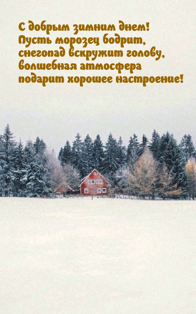 С добрым зимним днем! Пусть морозец бодрит