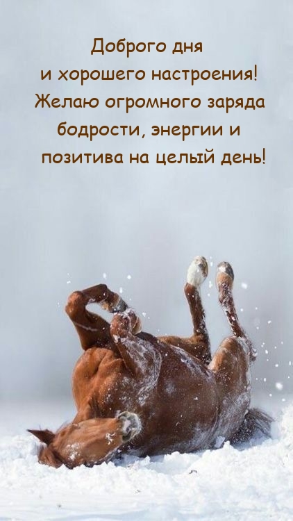 Доброго дня и хорошего настроения! Огромного заряда бодрости