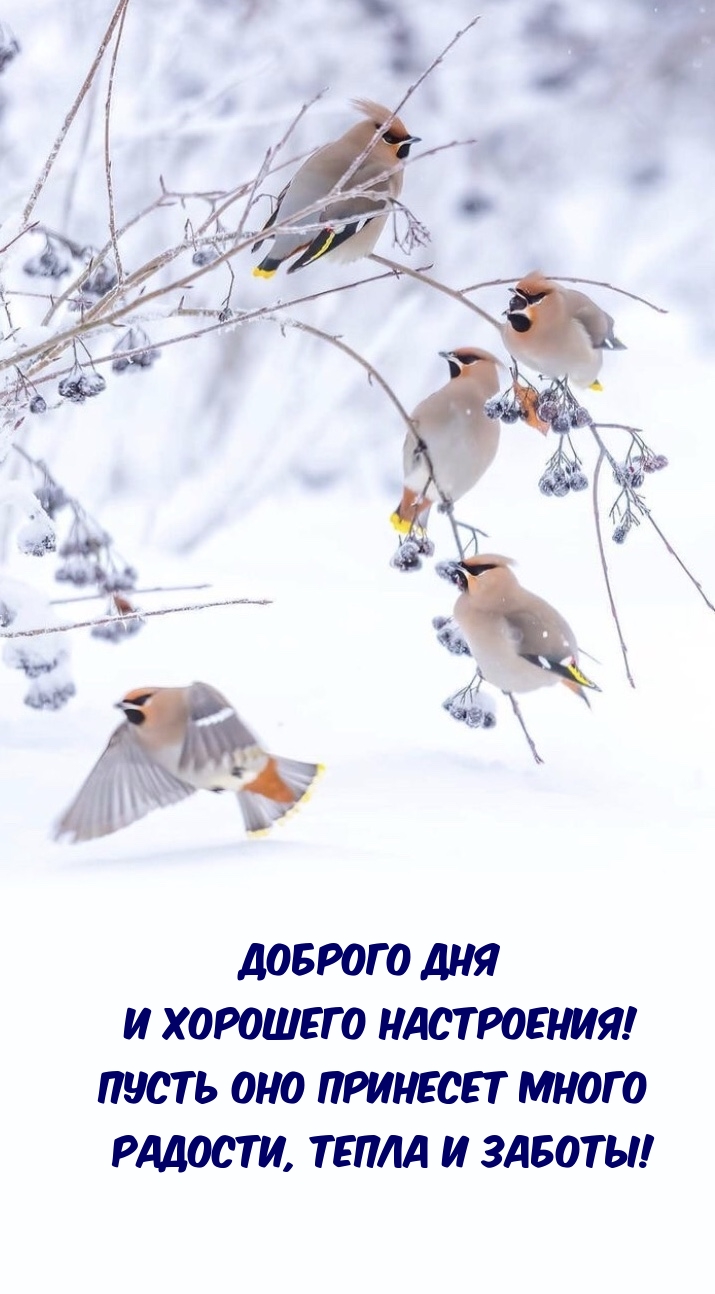 Доброго дня и хорошего настроения! Пусть оно принесет радости