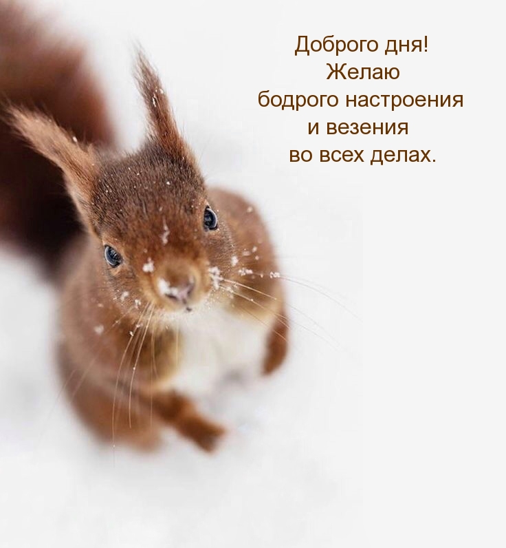 Доброго дня! Желаю бодрого настроения и везения во всех делах.