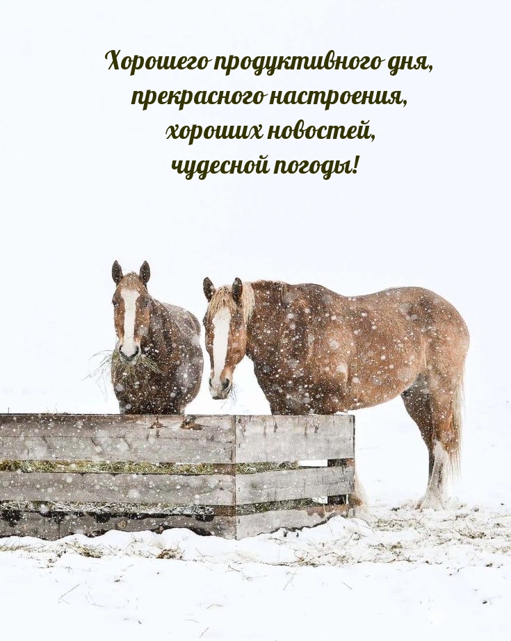 Хорошего продуктивного дня, прекрасного настроения