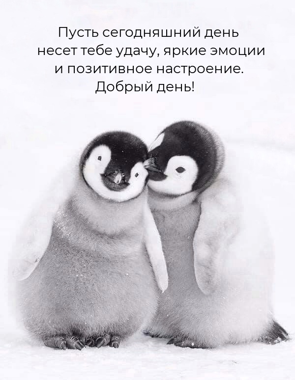 Пусть сегодняшний день несет тебе удачу, яркие эмоции 