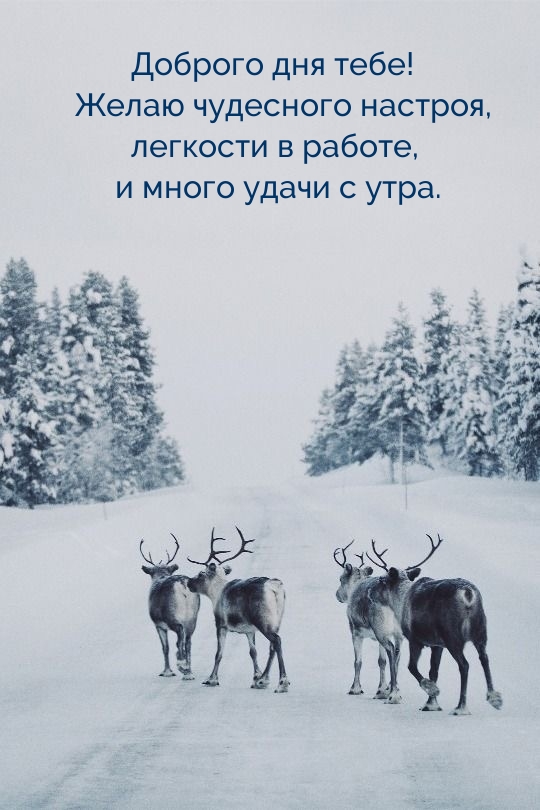 Доброго дня тебе! Желаю чудесного настроя