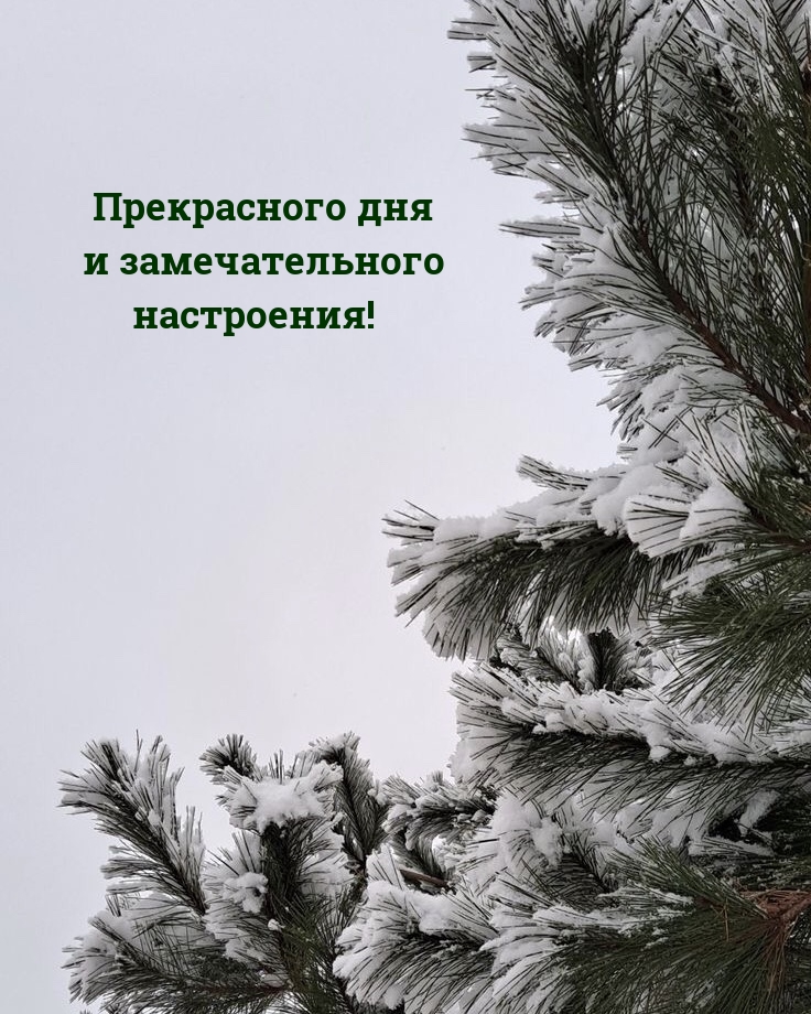 Прекрасного дня и замечательного настроения!