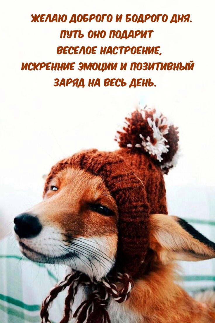 Желаю доброго и бодрого дня. Путь оно подарит веселое настроение