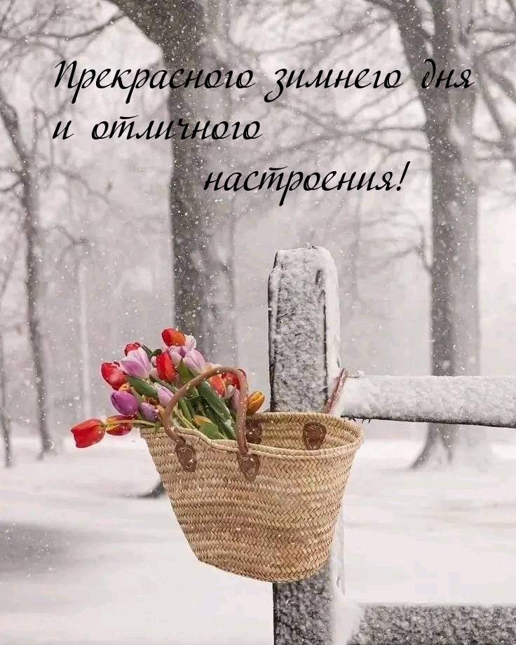 Прекрасного зимнего дня и отличного настроения! 