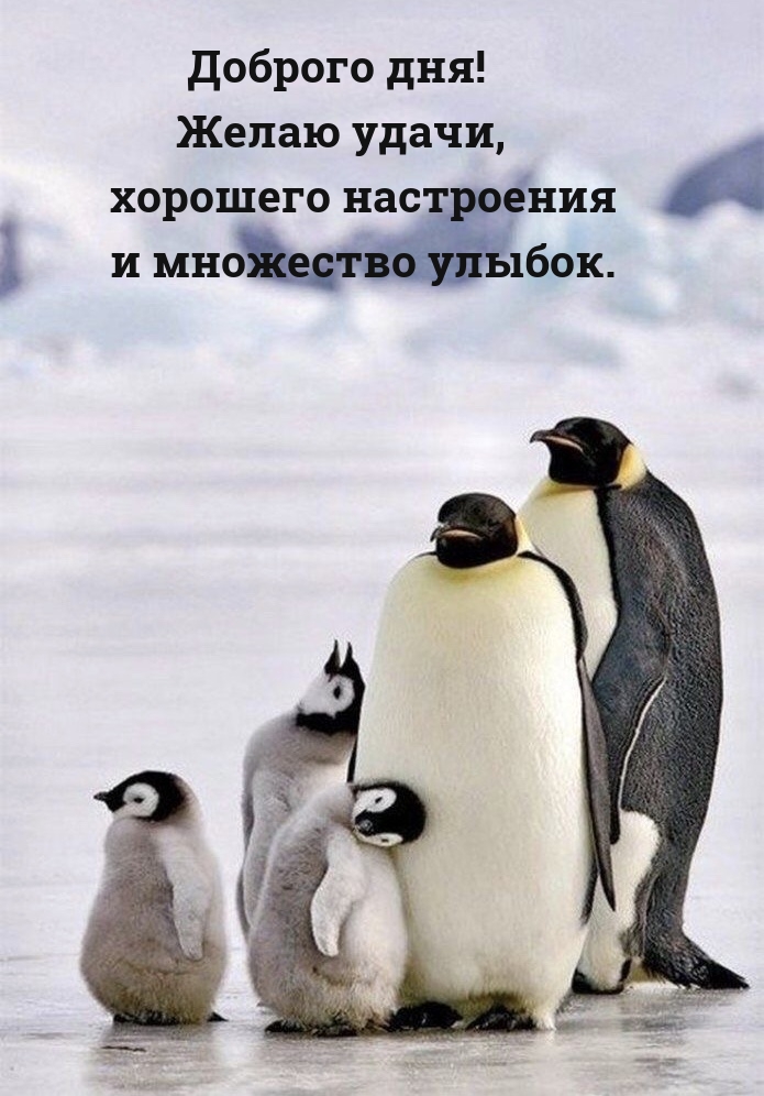 Доброго дня! Желаю удачи, хорошего настроения 