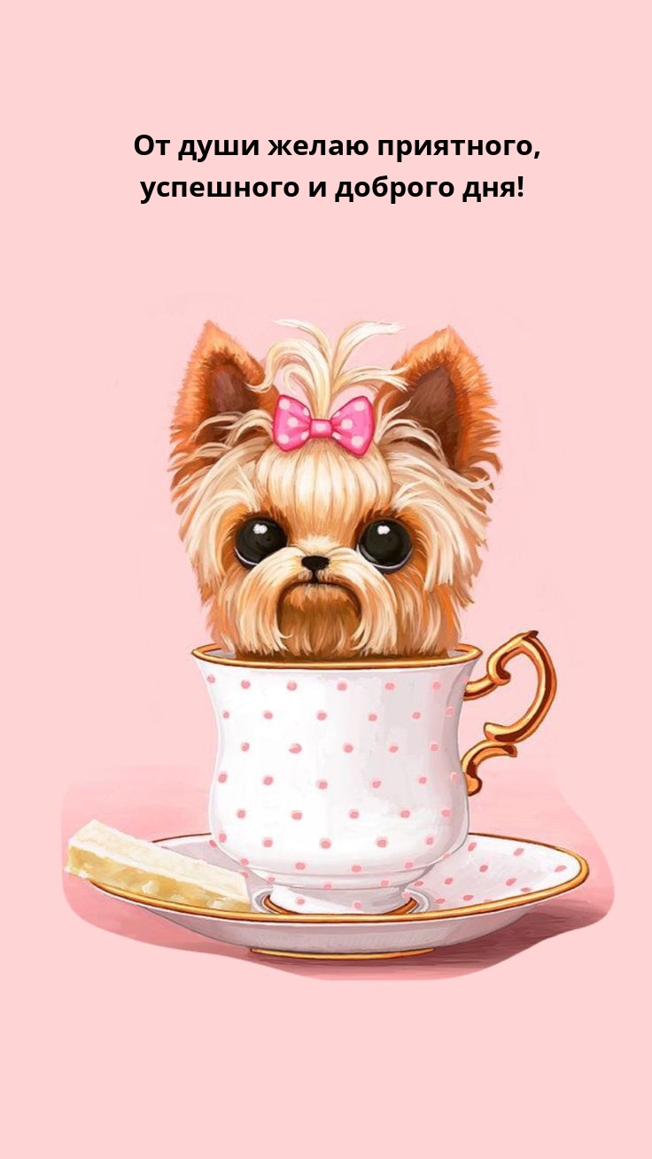 От души желаю приятного, успешного и доброго дня!