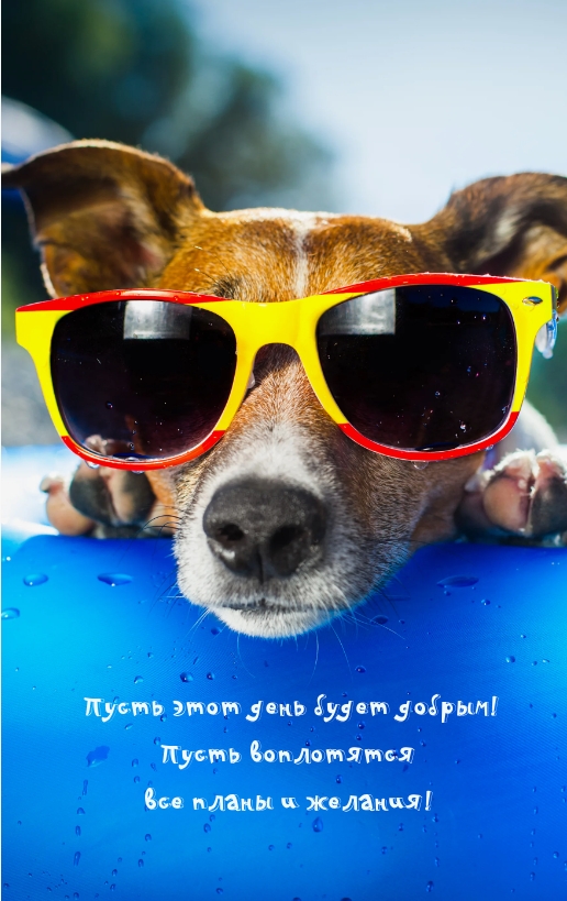 Пусть этот день будет добрым! Пусть воплотятся все планы и желания!