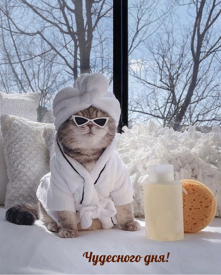 Чудесного дня!