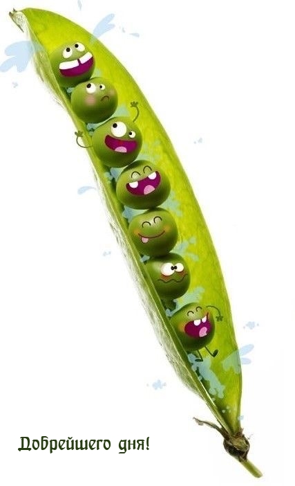 Добрейшего дня!