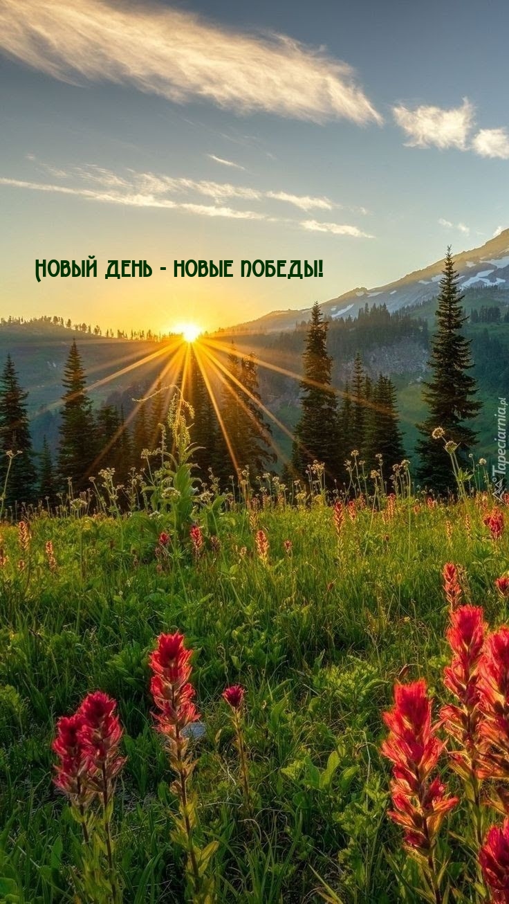 Новый день - новые победы!