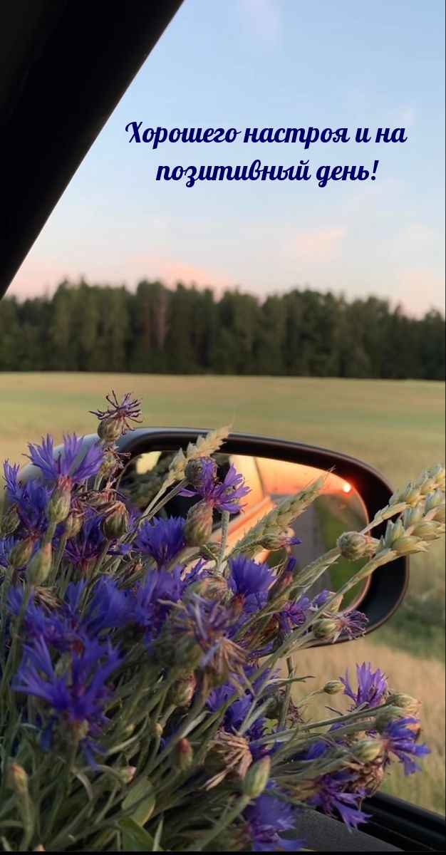 Хорошего настроя и на позитивный день!