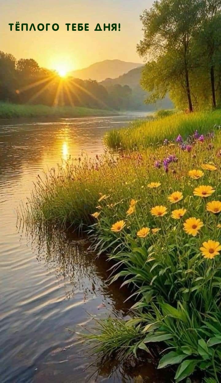 Тёплого тебе дня!