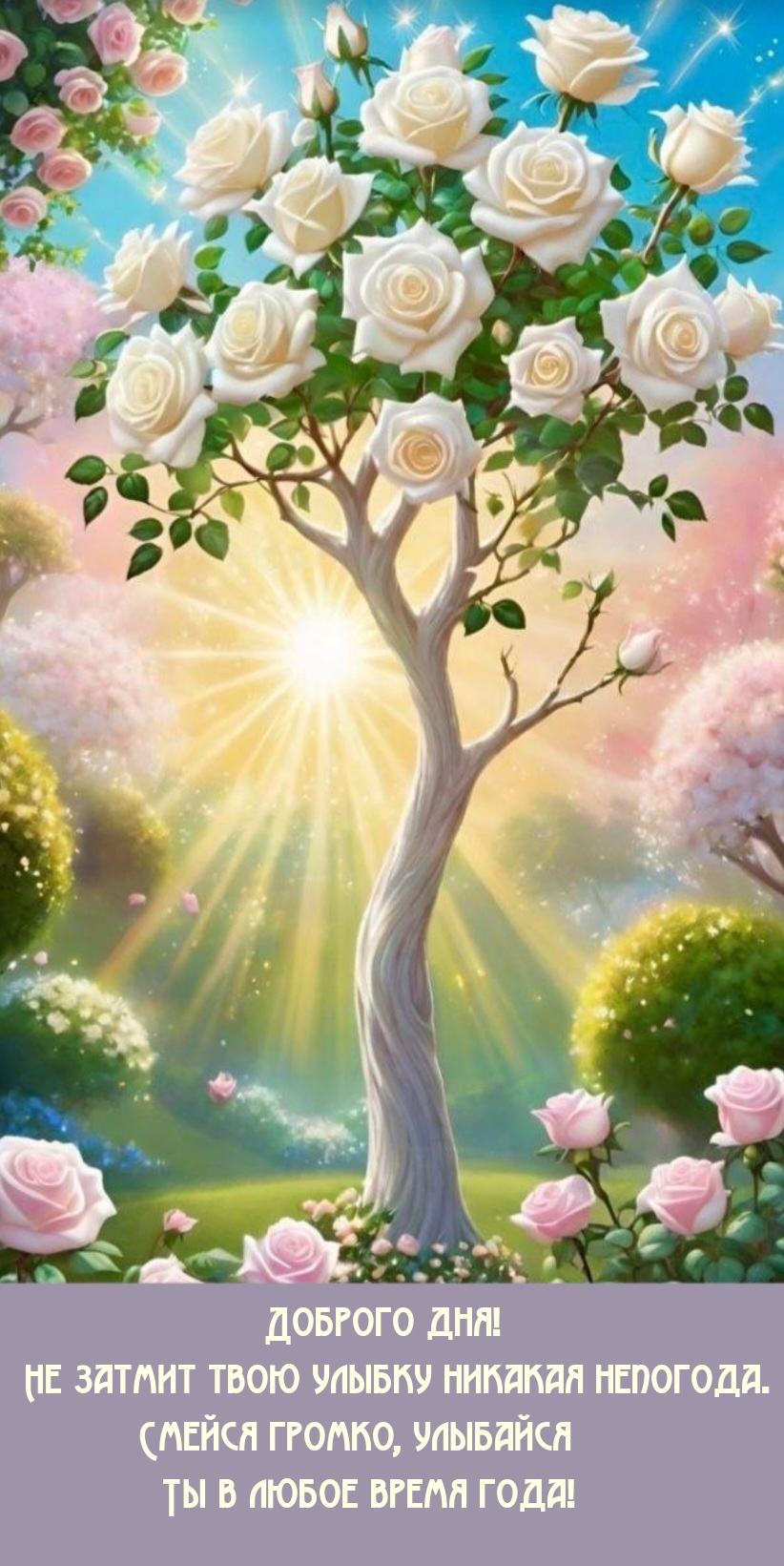 Доброго дня! Не затмит твою улыбку никакая непогода.