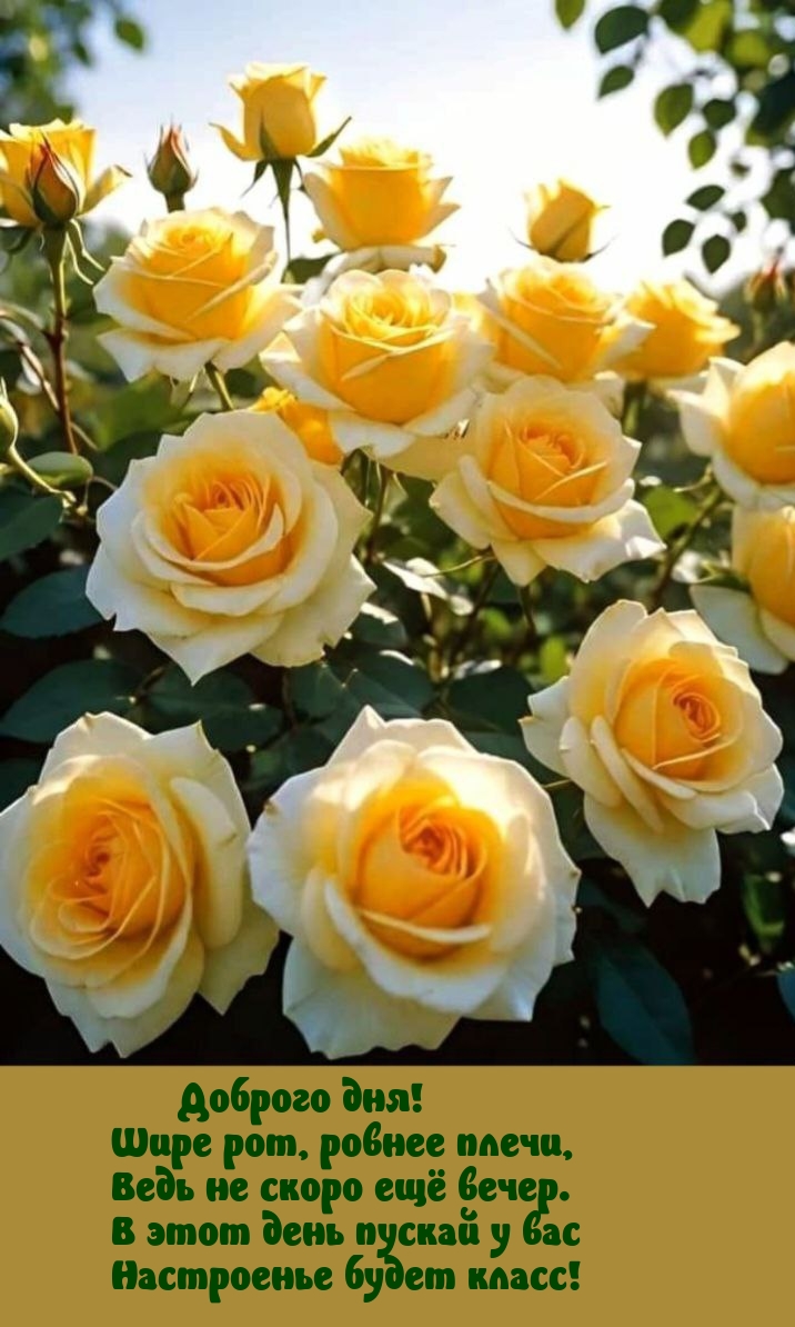 Доброго дня! Шире рот, ровнее плечи, ведь не скоро ещё вечер.