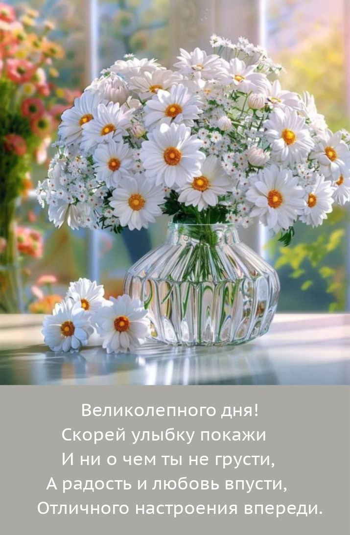 Великолепного дня! Скорей улыбку покажи