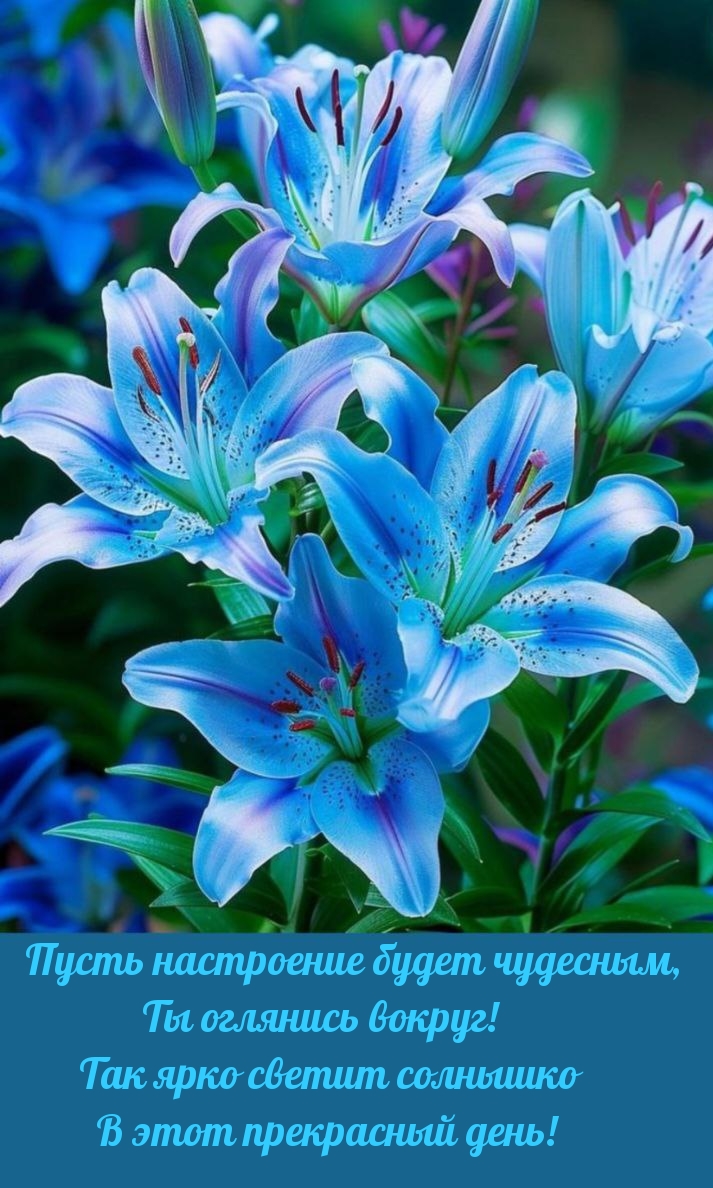 Пусть настроение будет чудесным, ты оглянись вокруг!
