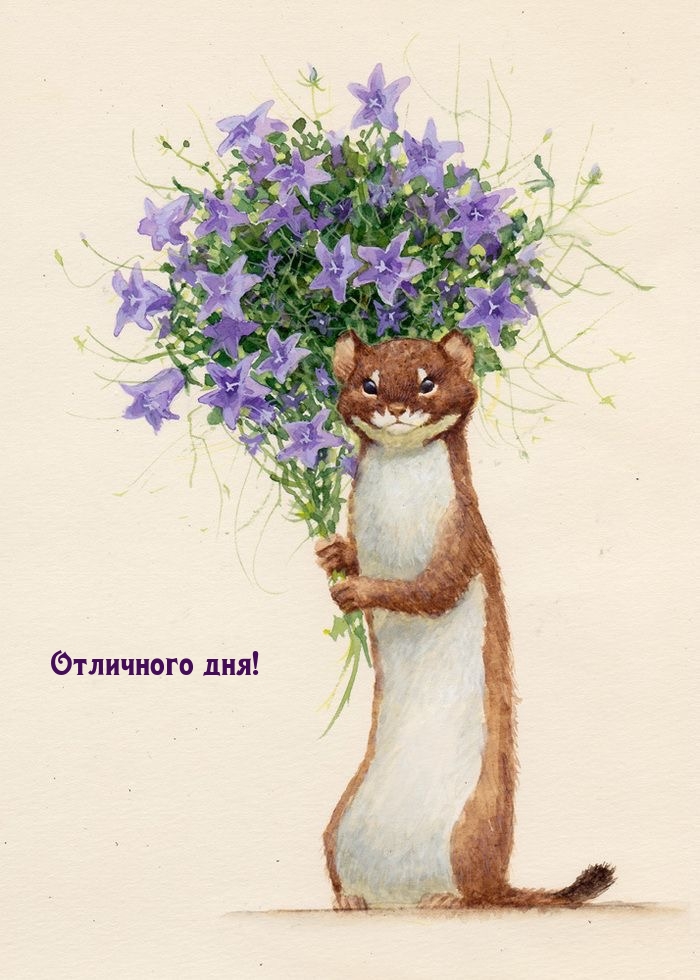 Отличного дня!