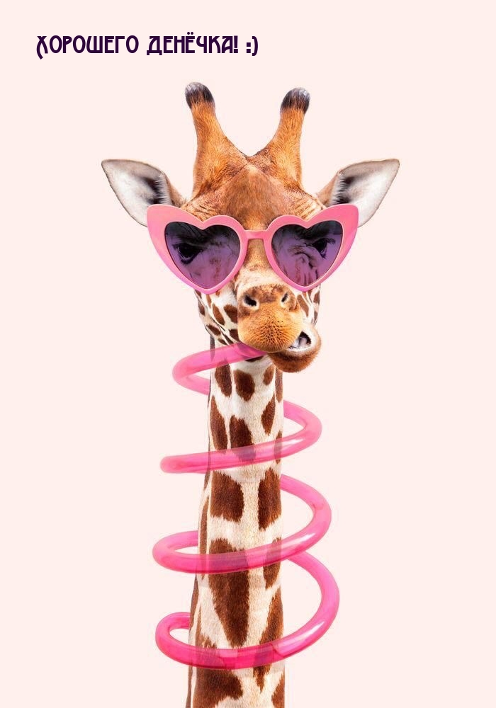 Хорошего денёчка! :)