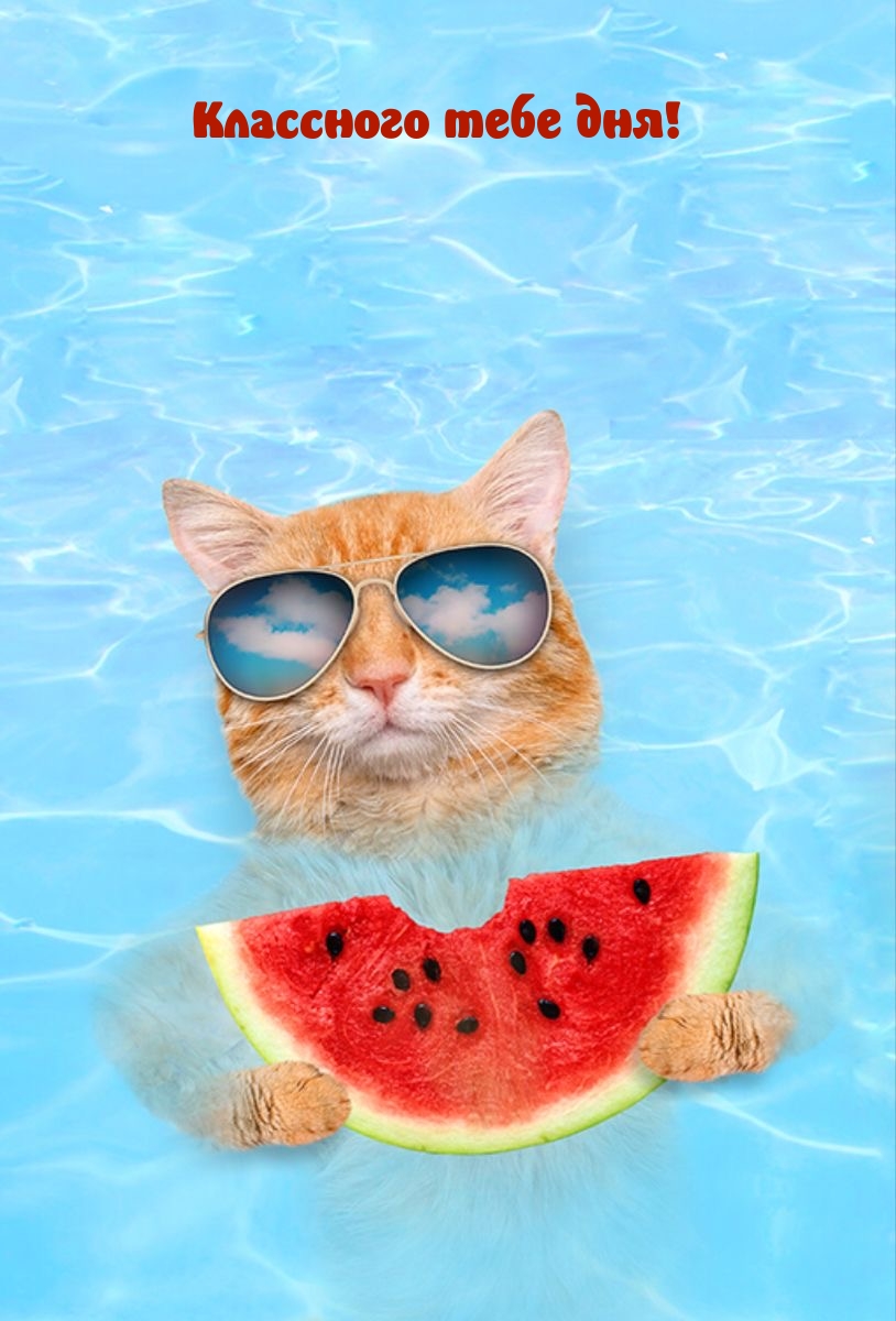 Классного тебе дня!