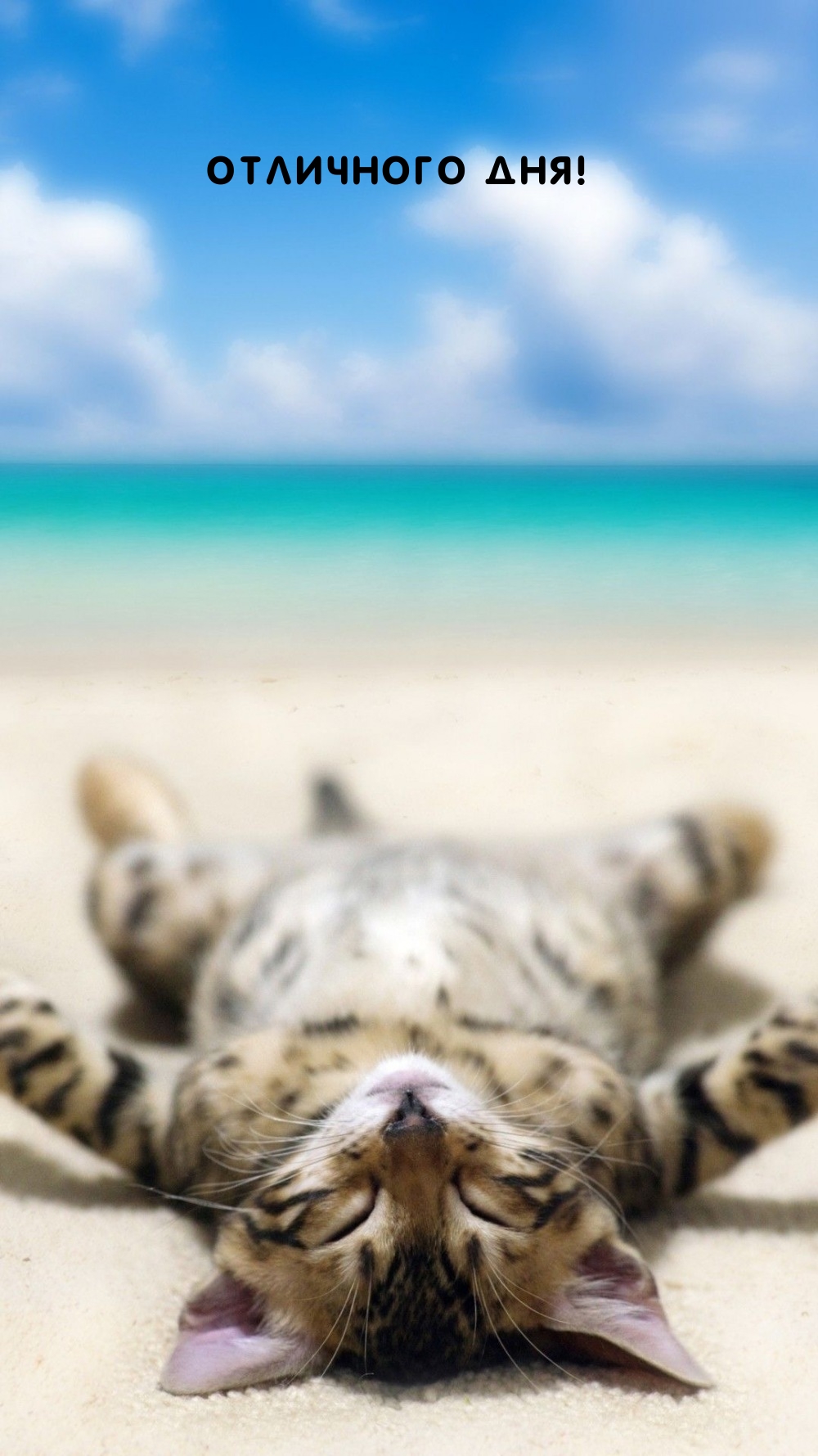 Отличного дня!