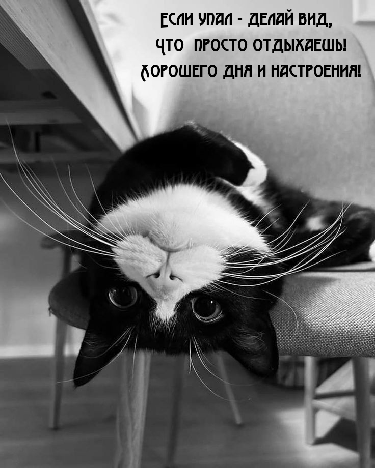 Если упал - делай вид, что просто отдыхаешь!