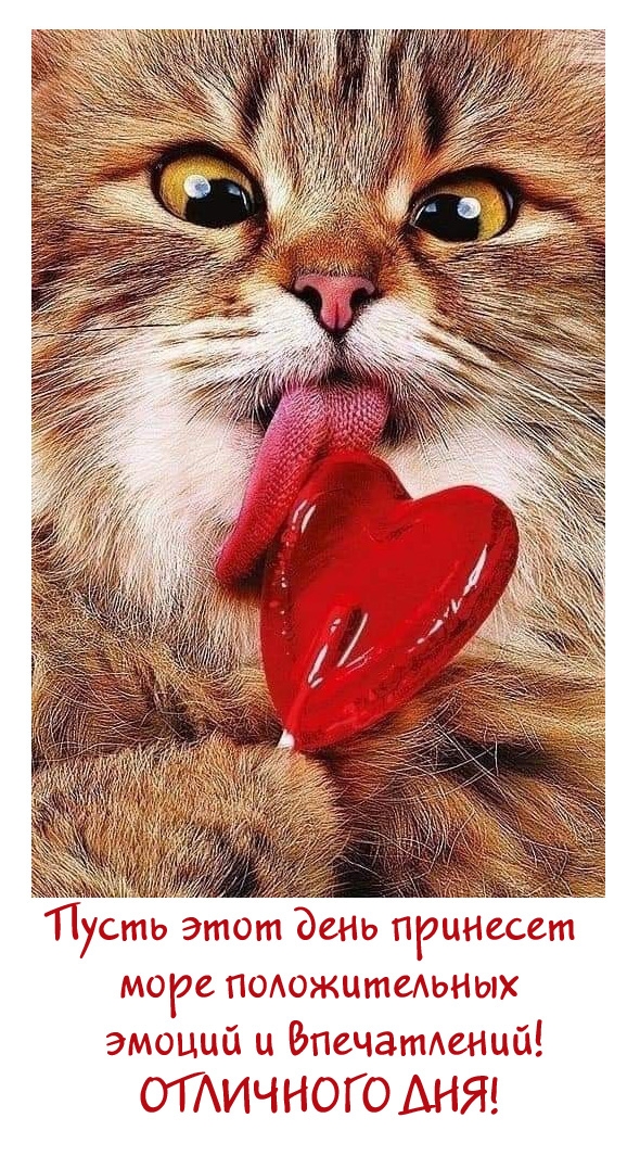 Пусть этот день принесет море положительных эмоций и впечатлений!