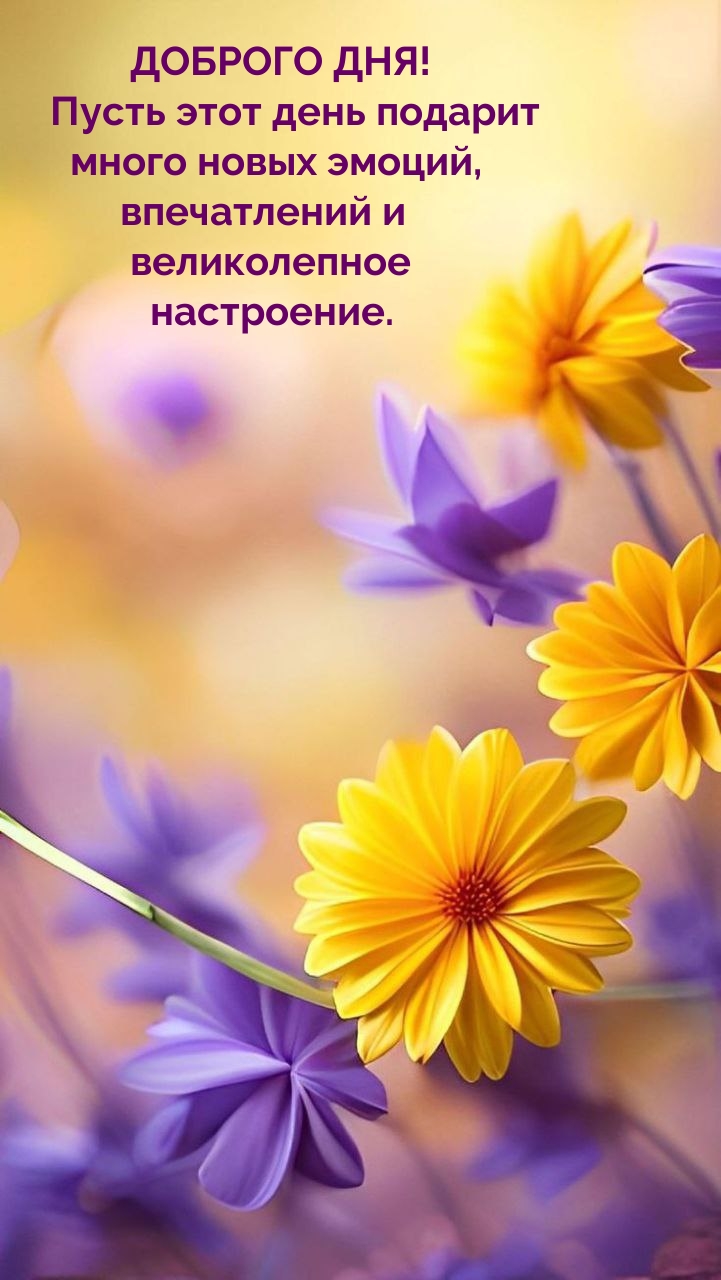 Доброго дня! Пусть этот день подарит много новых эмоций