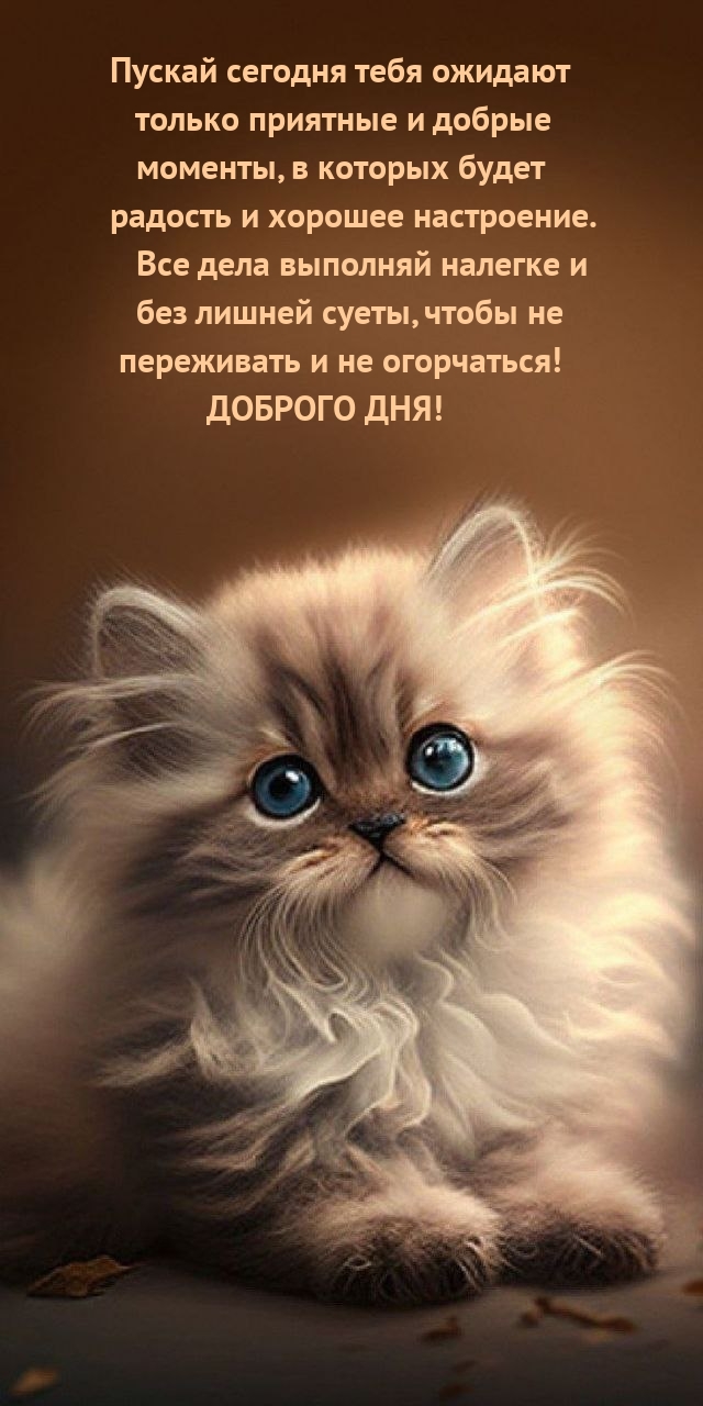 Все дела выполняй налегке и без лишней суеты