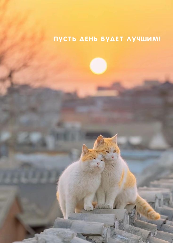 Пусть день будет лучшим!
