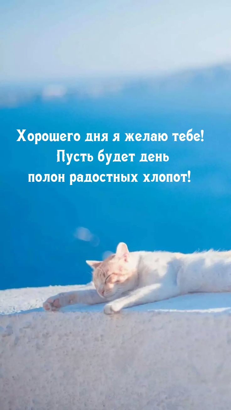 Хорошего дня я желаю! Пусть будет день полон радостных хлопот!