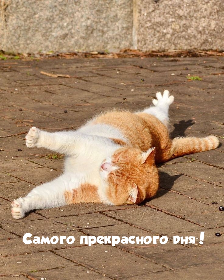 Самого прекрасного дня!