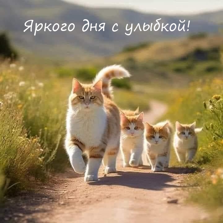 Яркого дня с улыбкой!