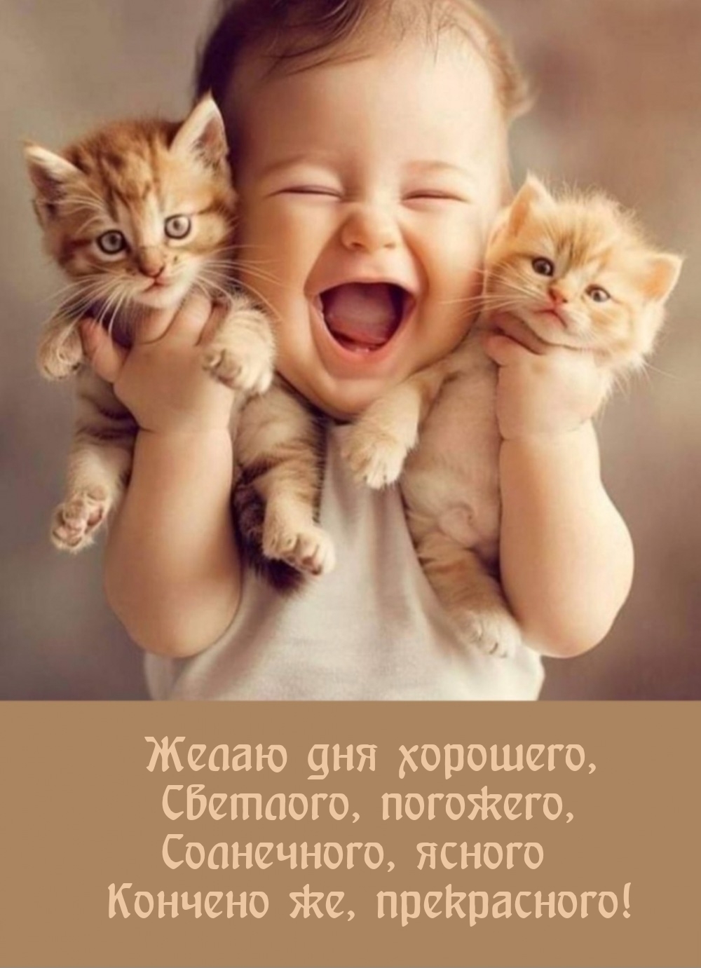 Желаю дня хорошего, светлого, погожего, солнечного, ясного