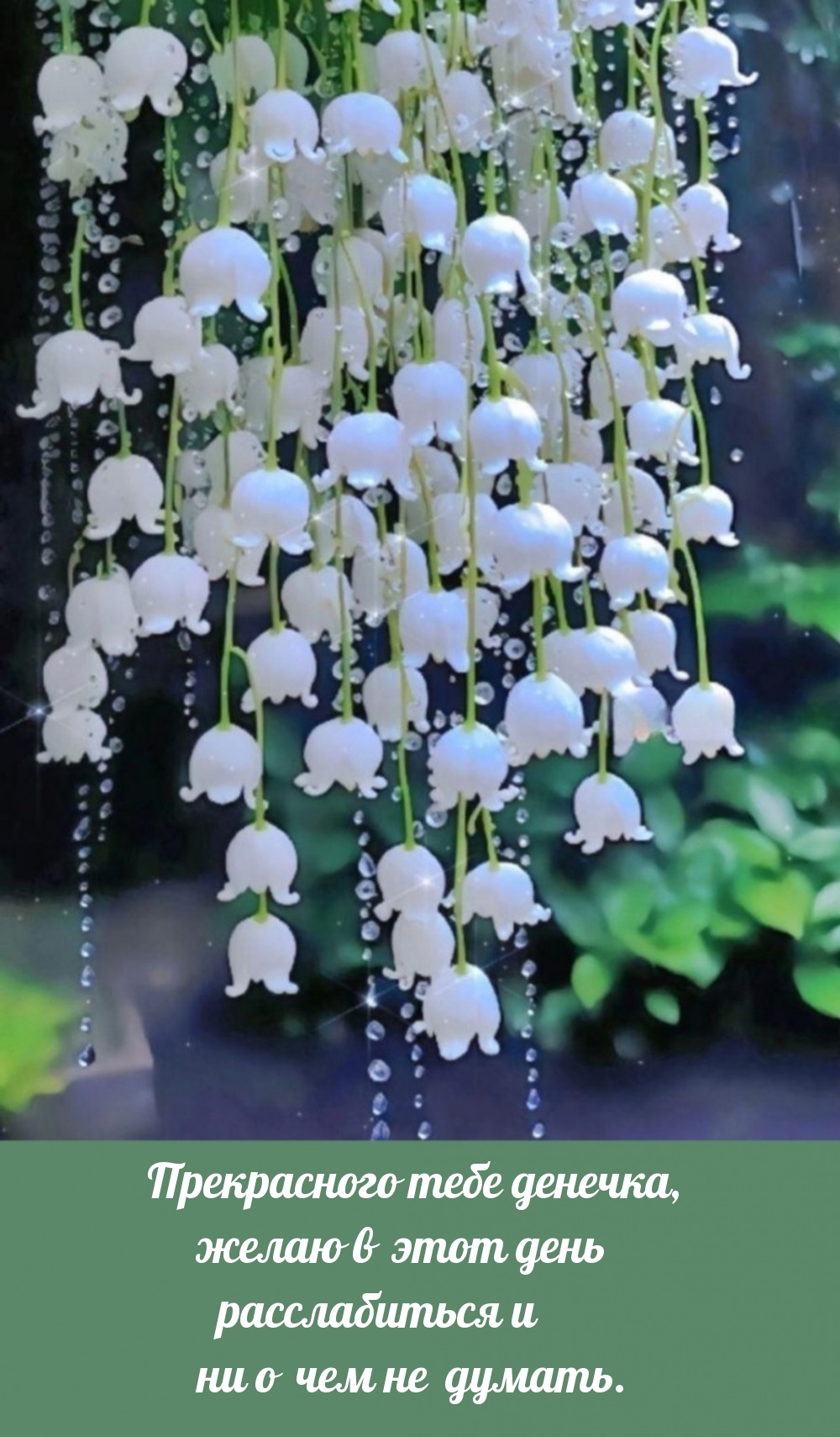 Прекрасного тебе денечка, желаю в этот день расслабиться