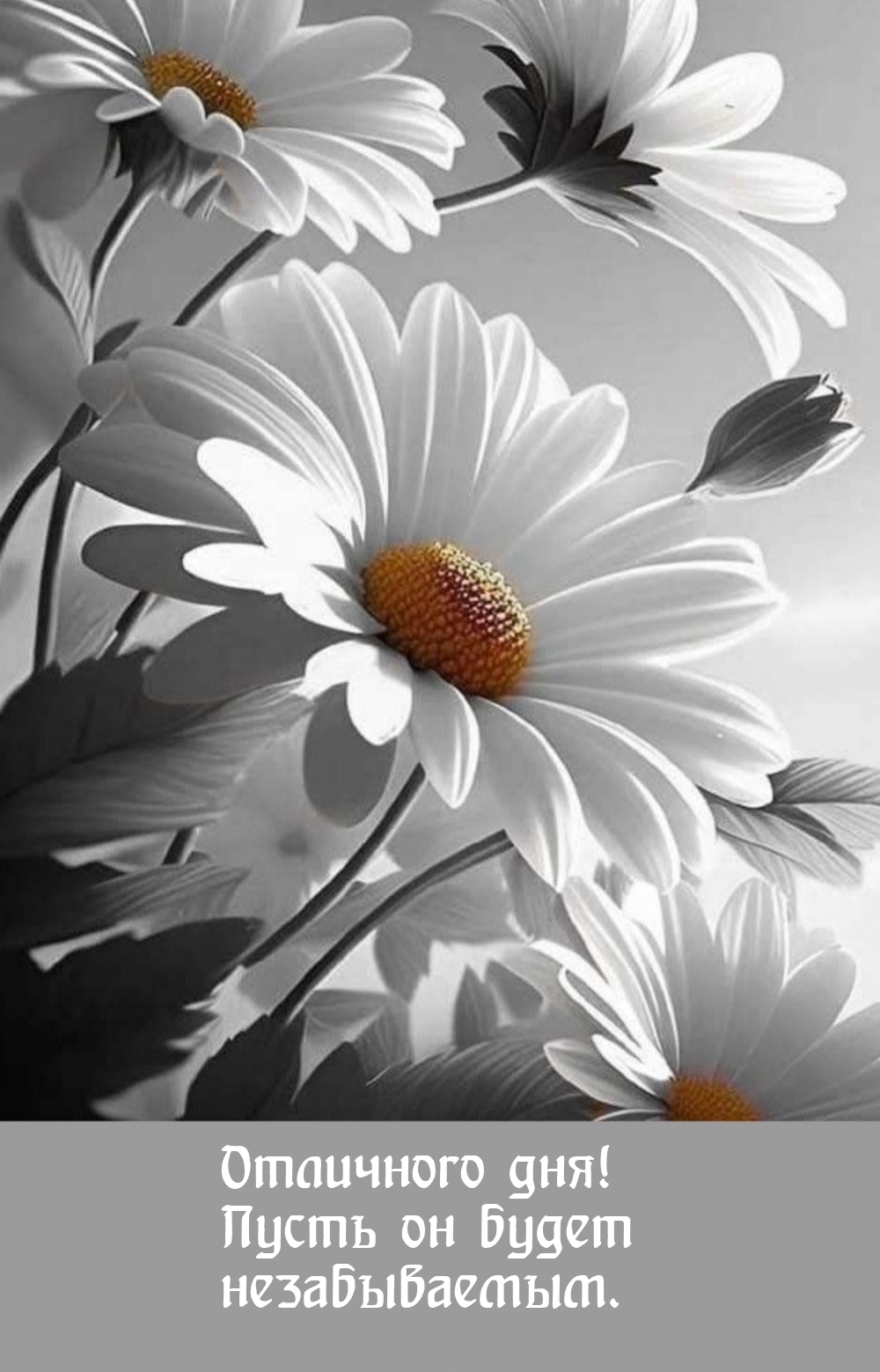 Отличного дня! Пусть он будет незабываемым. 