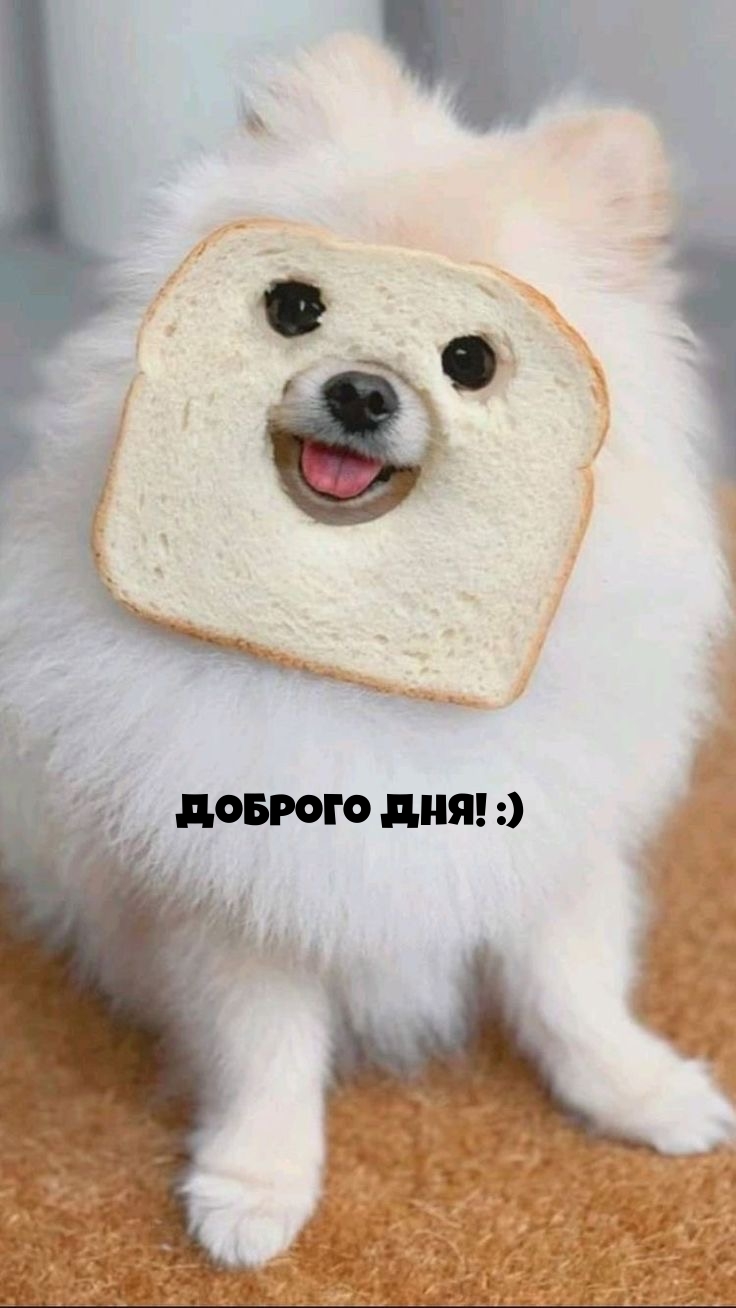 Доброго дня! :)