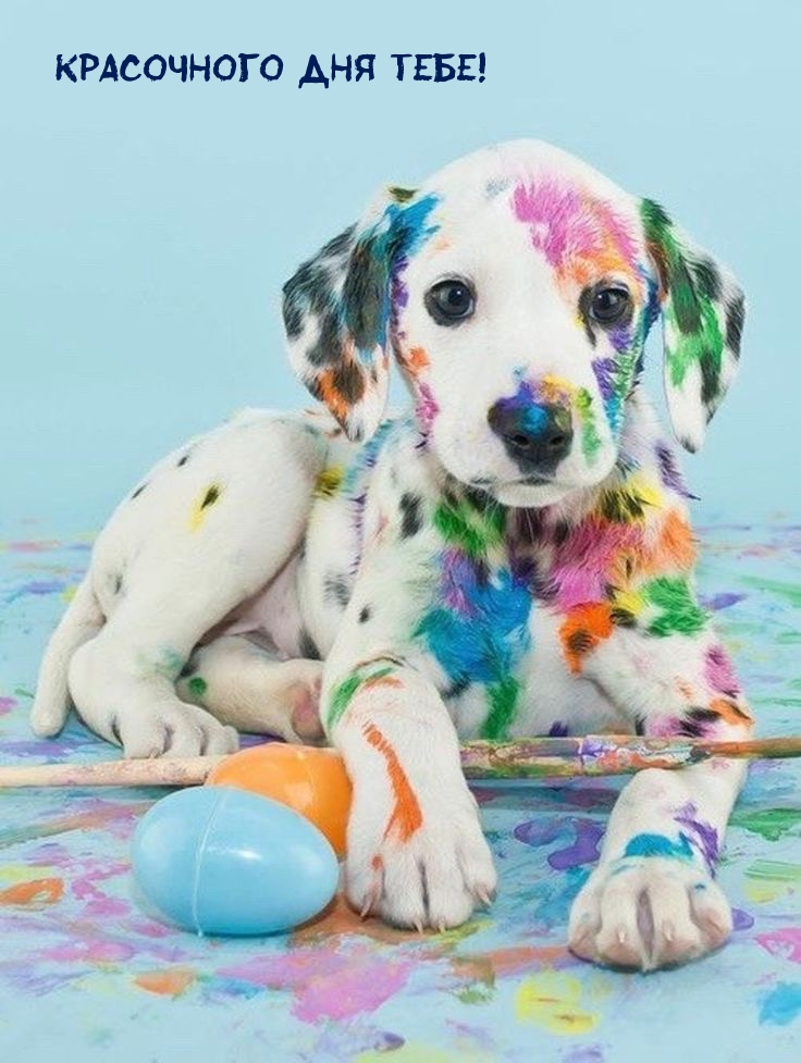 Красочного дня тебе!