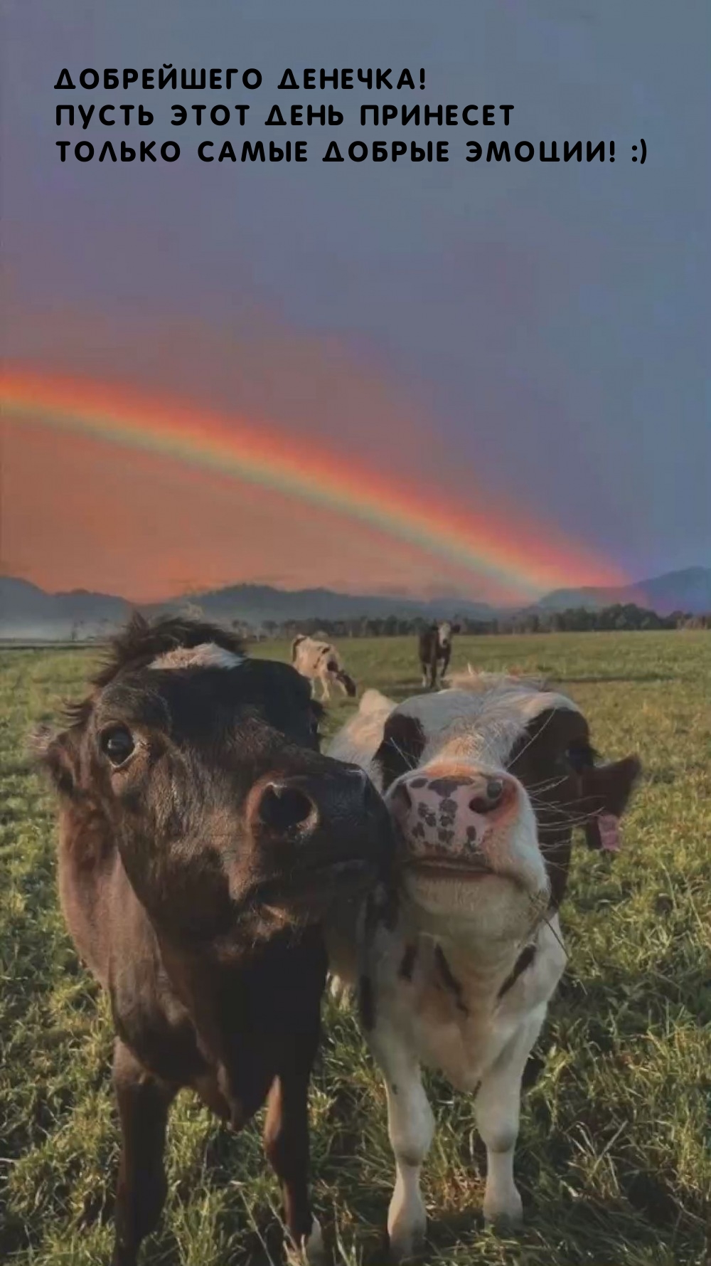 Добрейшего денечка! Пусть этот день принесет самые добрые эмоции! 