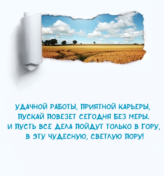Удачной работы, приятной карьеры, пускай повезет сегодня без меры.